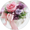 coco profile picture