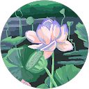 yumi u. profile picture