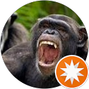 US-244 profile picture