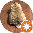 うさぎジムニー profile picture