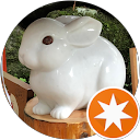 カミキング profile picture