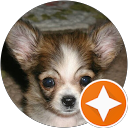 チワ profile picture