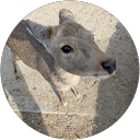 r teruyuki. profile picture