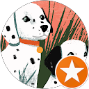 吹雪“桜吹雪”桜 profile picture