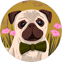 k s profile picture