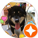 いちはは profile picture