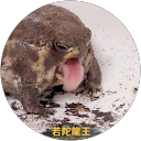 お湯（ナラ漬け） profile picture