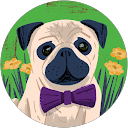 ポーロマルコ profile picture
