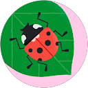 K S profile picture