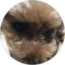 T K profile picture