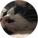 らうみケンゾー profile picture