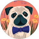 R K profile picture