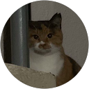 ひーはー profile picture
