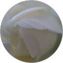 R S profile picture