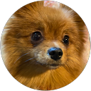 八ッ代昌子 profile picture