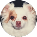 TO SU profile picture