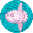 ジュンコ profile picture