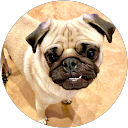 ケムケム profile picture