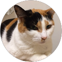 megumi profile picture