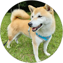 Sandy Takashima profile picture