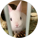aya. w profile picture