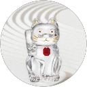 koara gorogoro profile picture