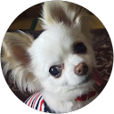 りんりん profile picture