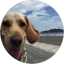 akysksmr profile picture