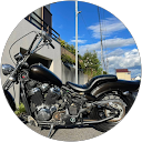 シバヒロ profile picture