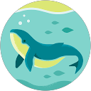 よっちよっち profile picture