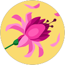 ここここ profile picture