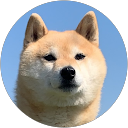 ところ profile picture