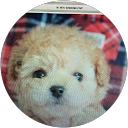 cherry19 profile picture
