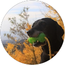 miopee 2525 profile picture