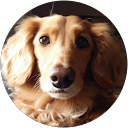 hana k profile picture