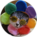 Tabby the cat profile picture