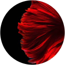朱里 profile picture