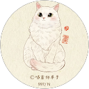p- ko profile picture