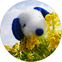 ぴ profile picture