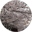 メモメモ profile picture