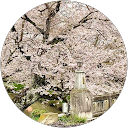 かみやしろ（レン） profile picture