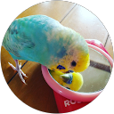 fumi fumi profile picture