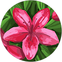 スマイル profile picture