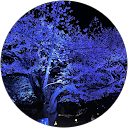 Arkthz profile picture