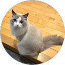 アーサー profile picture