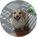 sachi “runa” profile picture