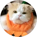 喜代美豆症麽G質素Oo 魅惑の枯渇 “犬神イヌa ゴミ屑根暗キノコ” profile picture