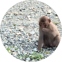 坂本匠海 profile picture
