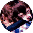 M I profile picture