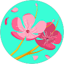 yururi _ profile picture